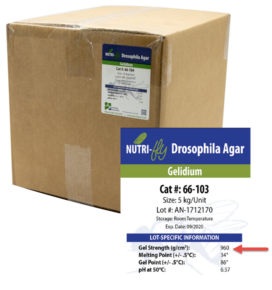 Food & Fillers Flystuff