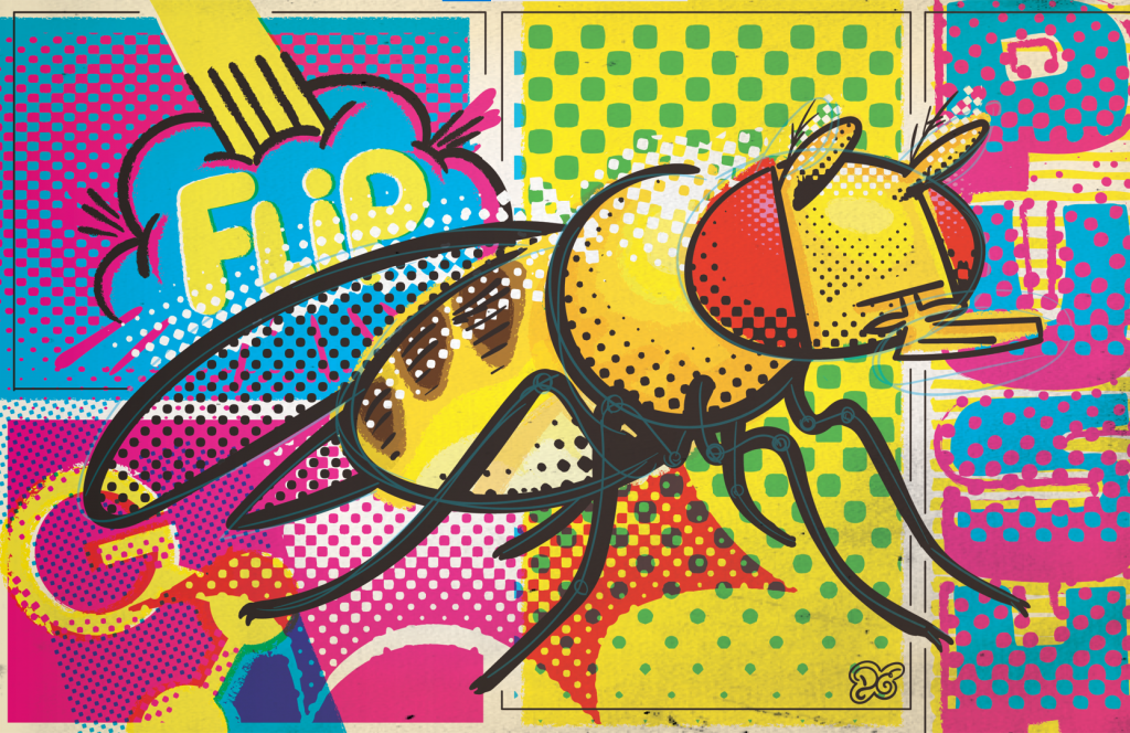 Drosophila Art Gallery Flystuff® by Genesee Scientific