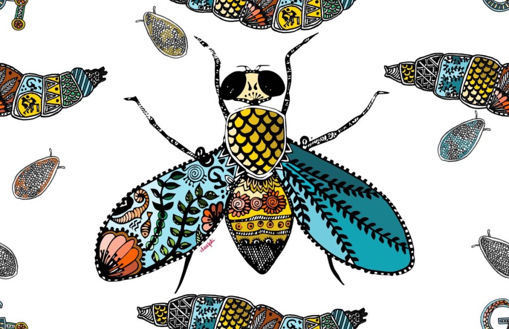 Drosophila Art Gallery Flystuff® by Genesee Scientific